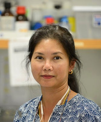Ann Kladwang