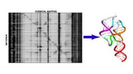 RNA chemical mapping