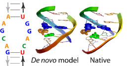 RNA Puzzle community blind trial